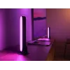 Philips Hue Wit and colour ambience Play lichtbalk dubbelpack