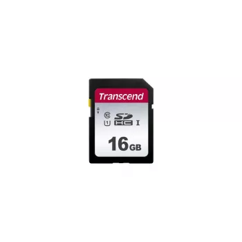 Flashgeheugen Transcend 16 GB SDHC Class 10 TS16GSDC300S