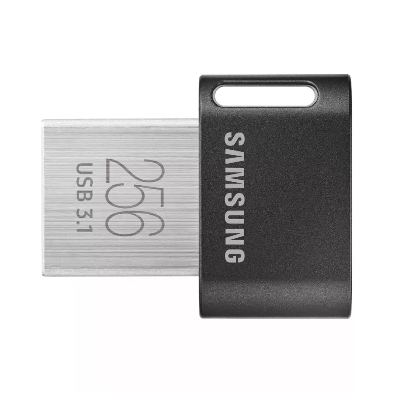 Samsung MUF-256AB USB-stick 256 GB USB Type-A 3.2 Gen 1 (3.1 Gen 1) grijs, zilver