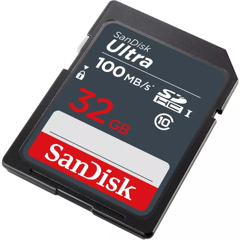 WESTERN DIGITAL SanDisk Ultra 32GB SDHC geheugenkaart 100 MB/s (SDSDUNR-032G-GN3IN)