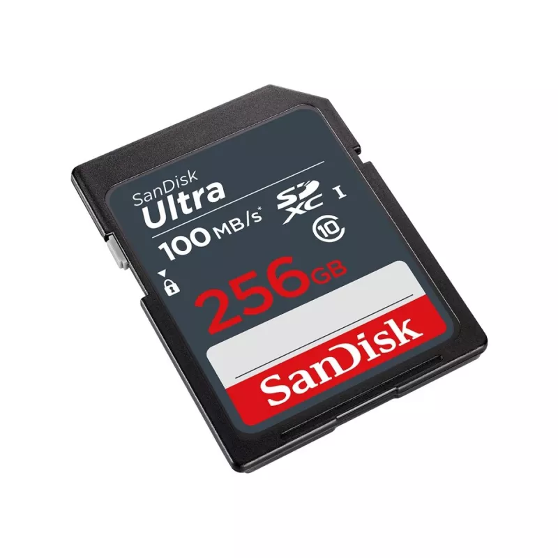 Flashgeheugen SanDisk 256 GB SDXC UHS-I Class 10 SDSDUNR-256G-GN3IN