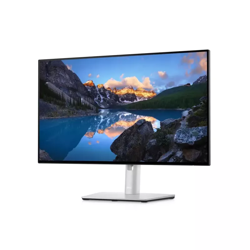 Monitor DELL UltraSharp 24 U2422H 23,8 inch Full HD LCD 1920x1080