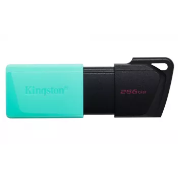 Kingston Technology DataTraveler 256GB USB3.2 Gen1 Exodia M (zwart + turquoise)