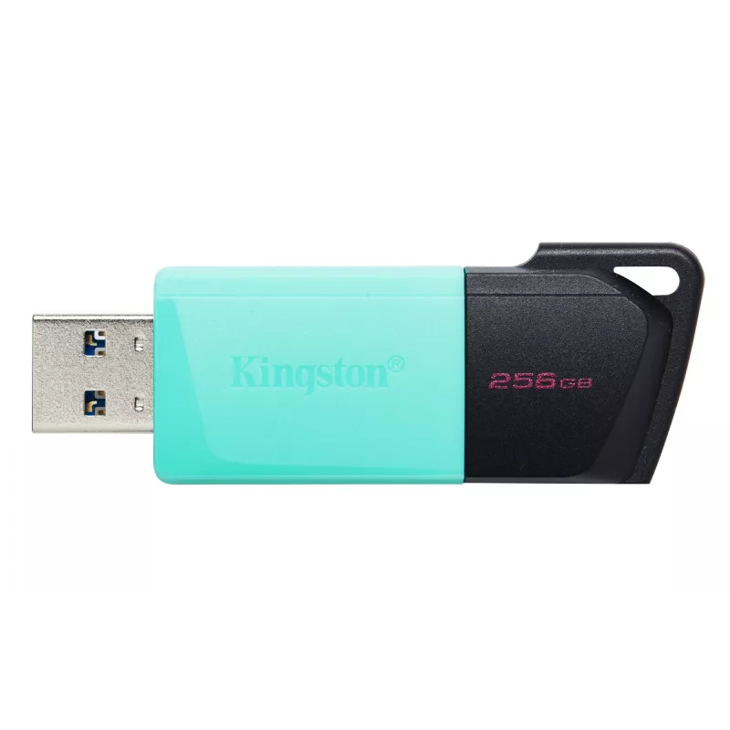 Kingston Technology DataTraveler 256GB USB3.2 Gen1 Exodia M (zwart + turquoise)