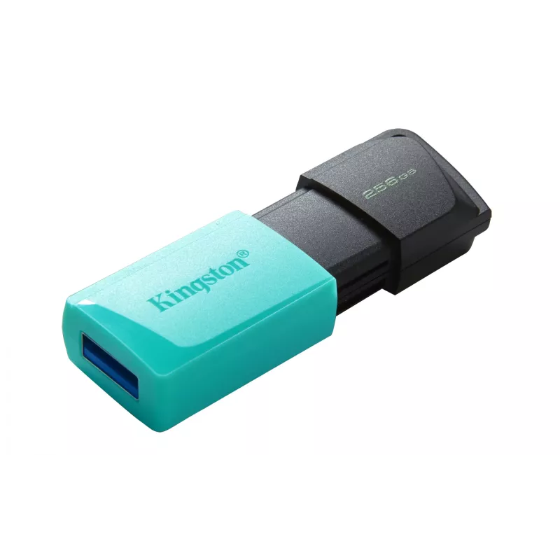 Kingston Technology DataTraveler 256GB USB3.2 Gen1 Exodia M (zwart + turquoise)