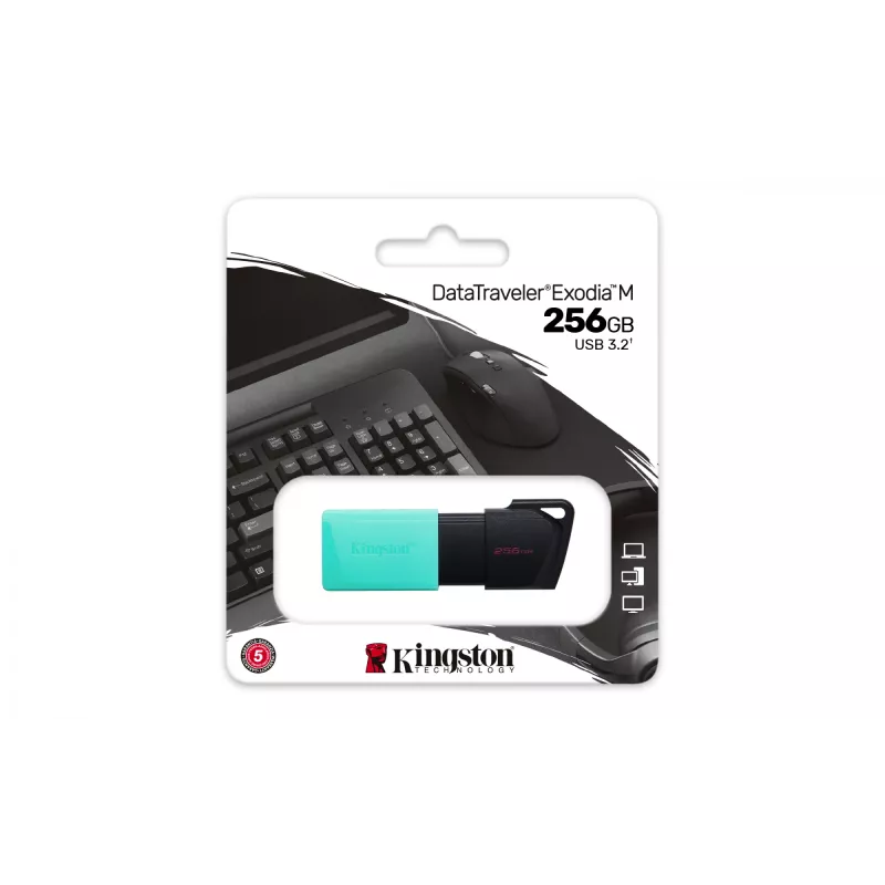 Kingston Technology DataTraveler 256GB USB3.2 Gen1 Exodia M (zwart + turquoise)
