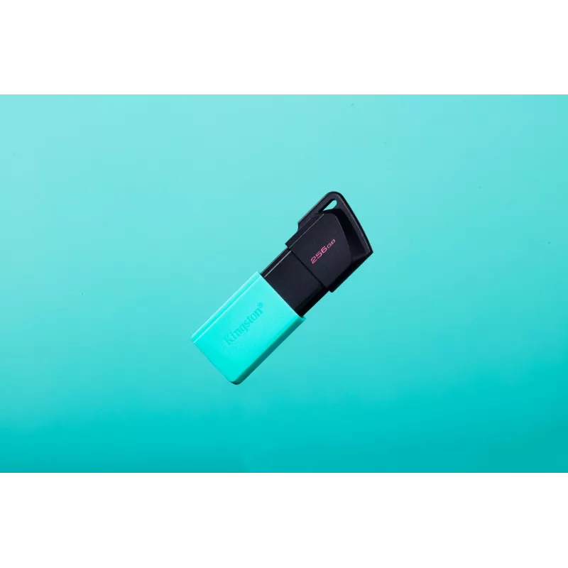 Kingston Technology DataTraveler 256GB USB3.2 Gen1 Exodia M (zwart + turquoise)