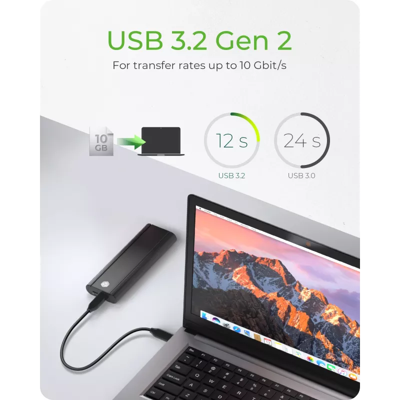 ICY Karton IB-1807MT-C31 SSD-behuizing Zwart M.2