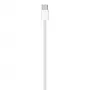 APPLE USB-C oplaadkabel (1 m)