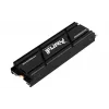 Kingston Technology 1000G RENEGADE PCIe 4.0 NVMe SSD met heatsink