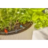 Druppelbevloeiingssysteem Gardena 13400-20 slanglengte 15 m zwart groen