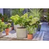Druppelbevloeiingssysteem Gardena 13400-20 slanglengte 15 m zwart groen