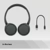 Sony WH-CH520 headset draadloos hoofdband gesprekken/muziek USB Type-C Bluetooth zwart