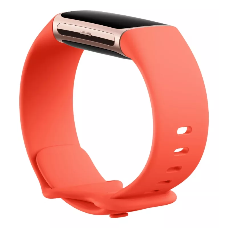 Fitbit Charge 6 Obsidian / zwart aluminium