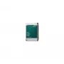 SYNOLOGY harde schijf Hat331012t - 12TB - SATA 6gb/s - 3.5in - 7200rpm