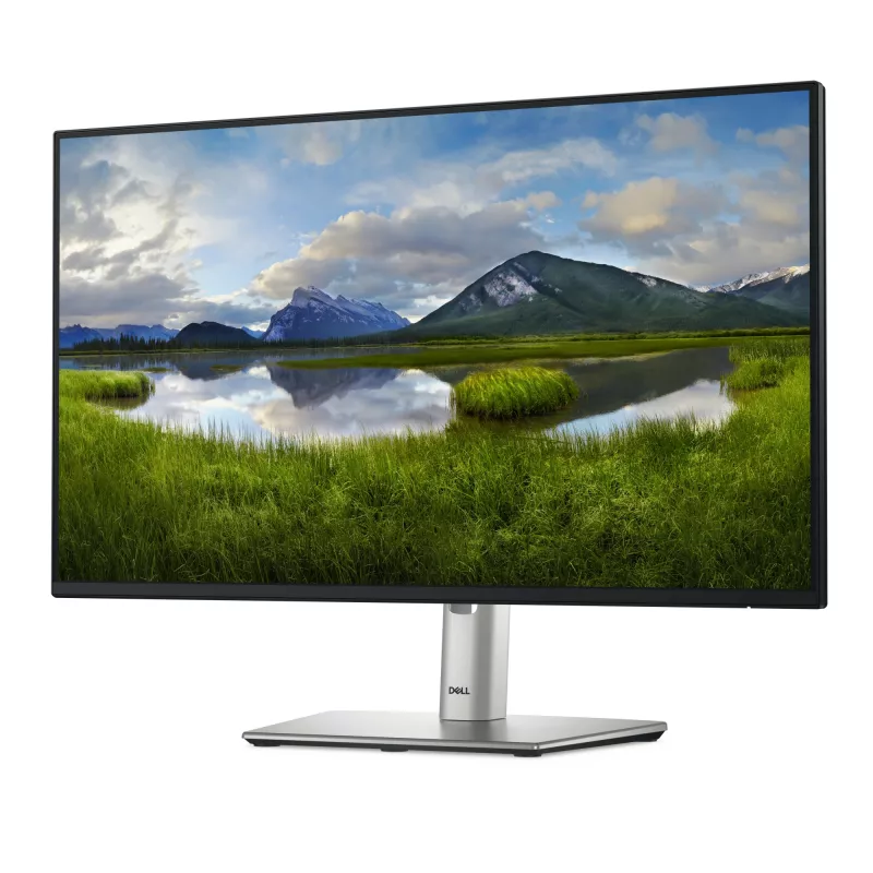 DELL Pro Plus P2425H computermonitor 60,5 cm (23,8 inch) 1920 x 1080 pixel Full HD LCD zwart