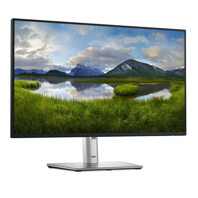 DELL Pro Plus P2425H computermonitor 60,5 cm (23,8 inch) 1920 x 1080 pixel Full HD LCD zwart