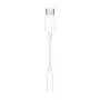 APPLE USB-C naar 3,5mm koptelefoonadapter