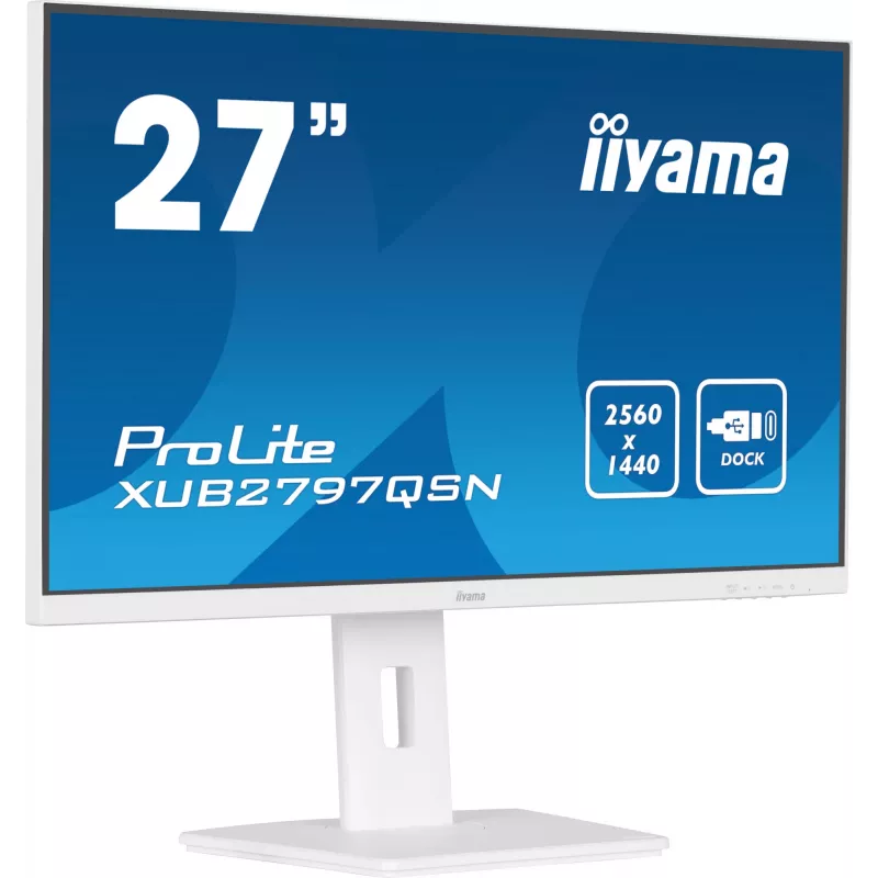 iiyama ProLite XUB2797QSN-W2 27 inch QHD IPS monitor, USB-C-dock, wit