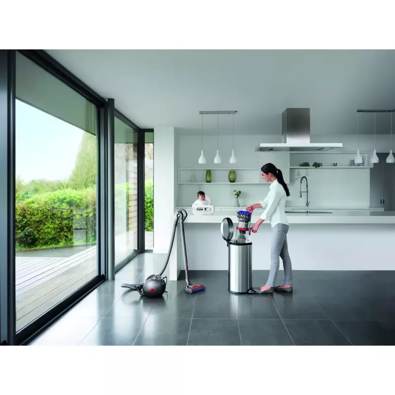 Stofzuiger Dyson Big ball Parquet 2