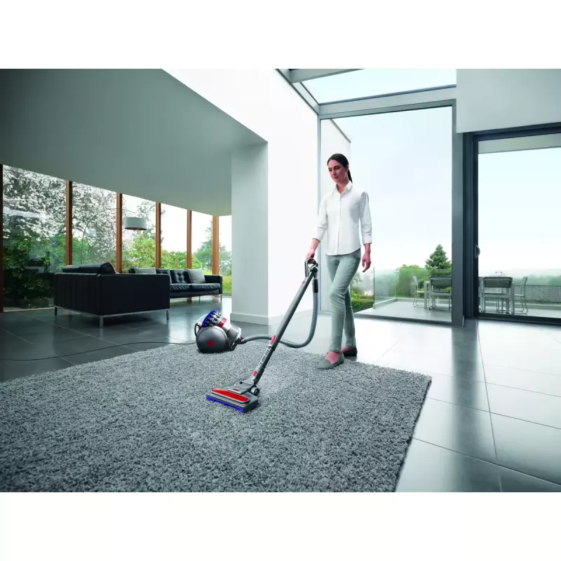 Stofzuiger Dyson Big ball Parquet 2