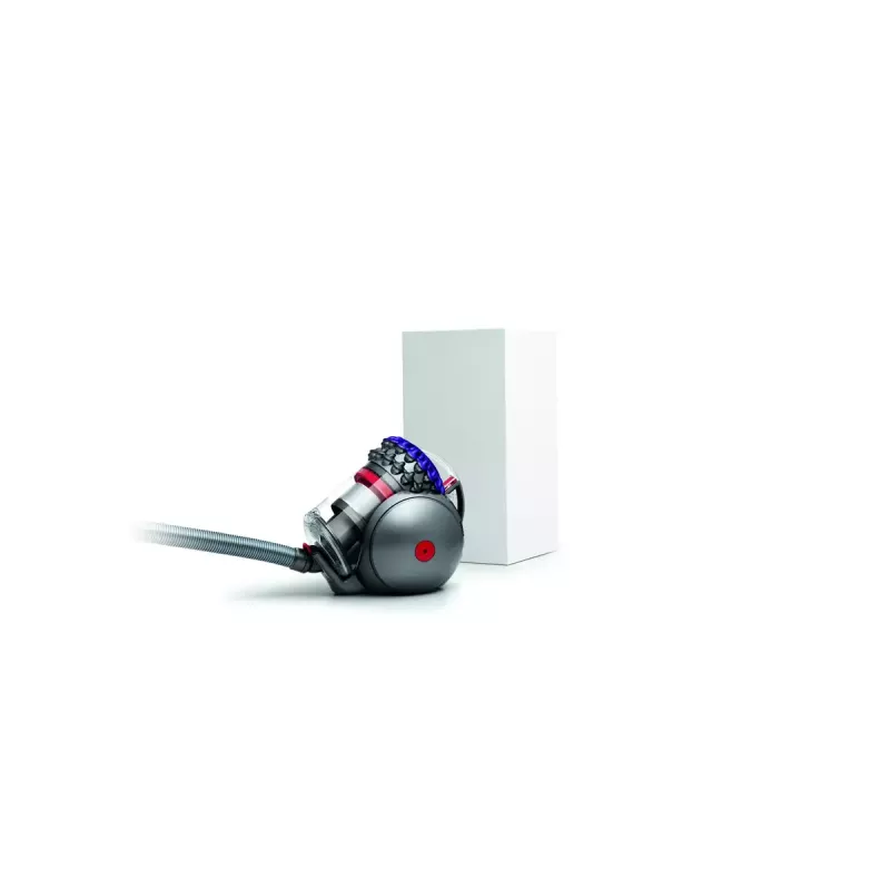 Stofzuiger Dyson Big ball Parquet 2