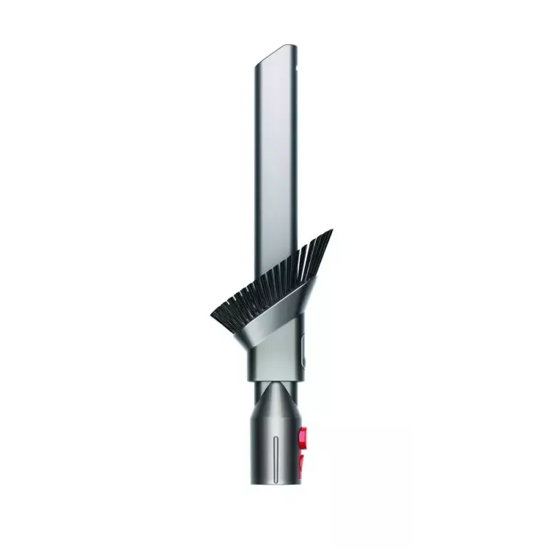 Stofzuiger Dyson Big ball Parquet 2