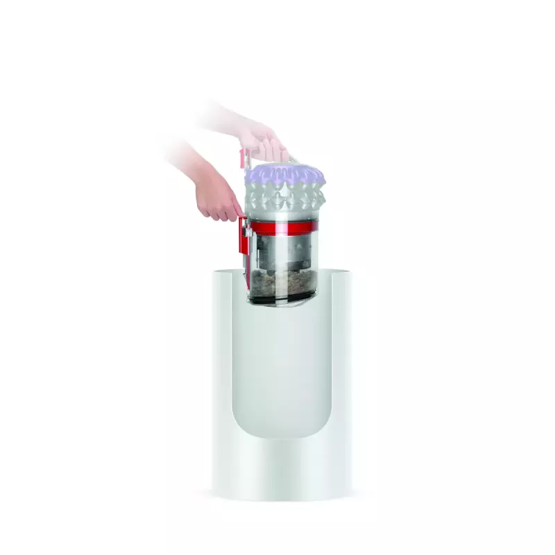 Stofzuiger Dyson Big ball Parquet 2