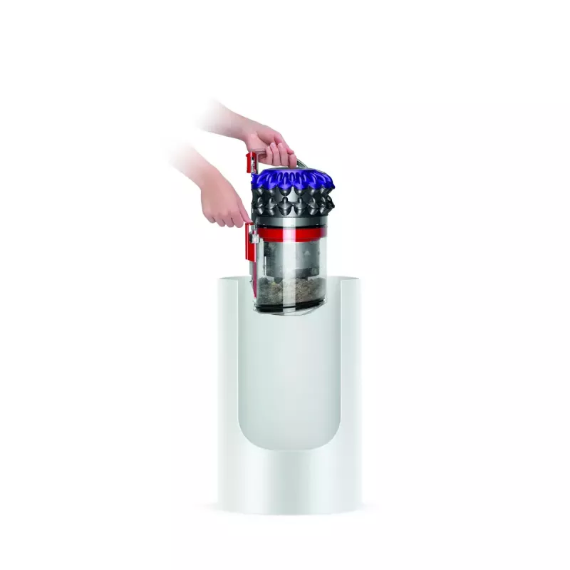 Stofzuiger Dyson Big ball Parquet 2