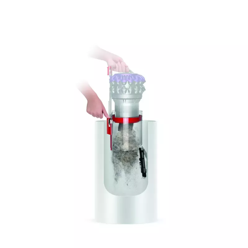 Stofzuiger Dyson Big ball Parquet 2
