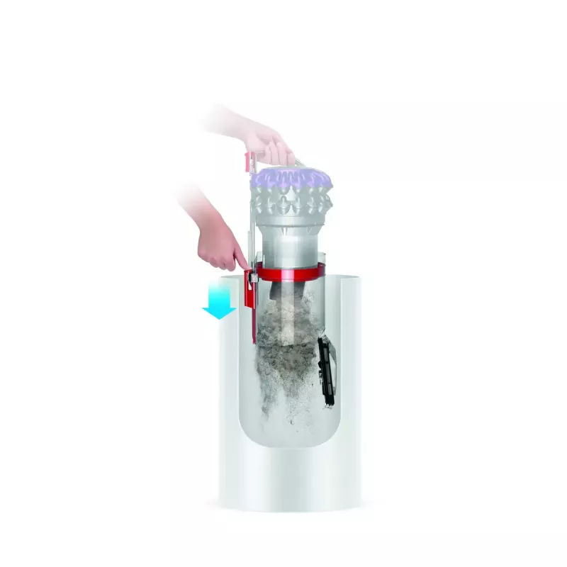 Stofzuiger Dyson Big ball Parquet 2