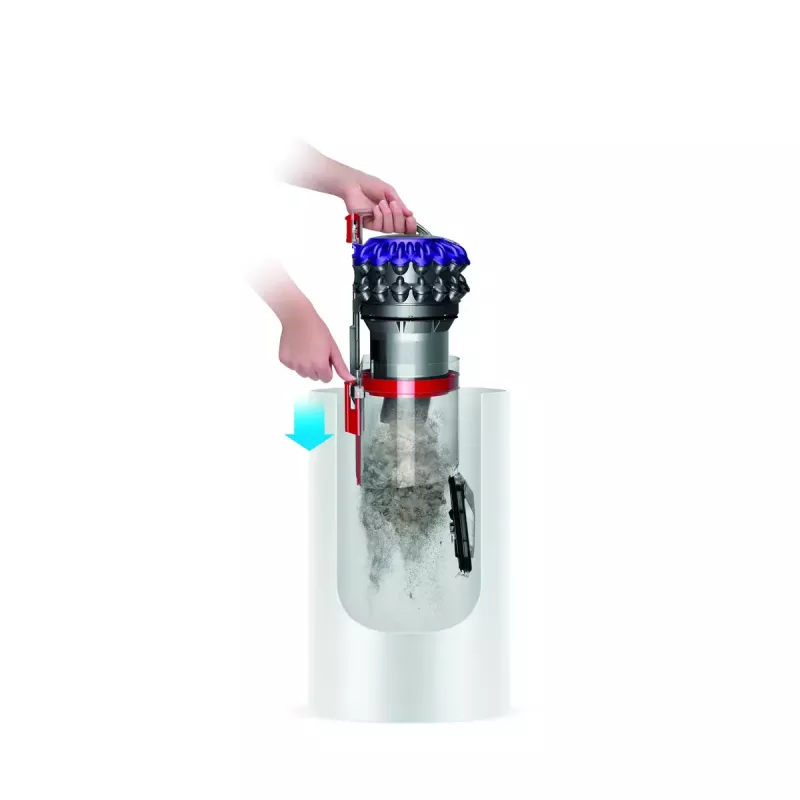 Stofzuiger Dyson Big ball Parquet 2