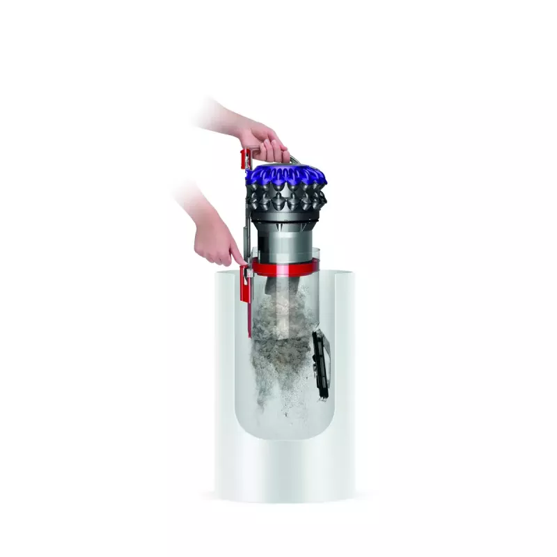 Stofzuiger Dyson Big ball Parquet 2