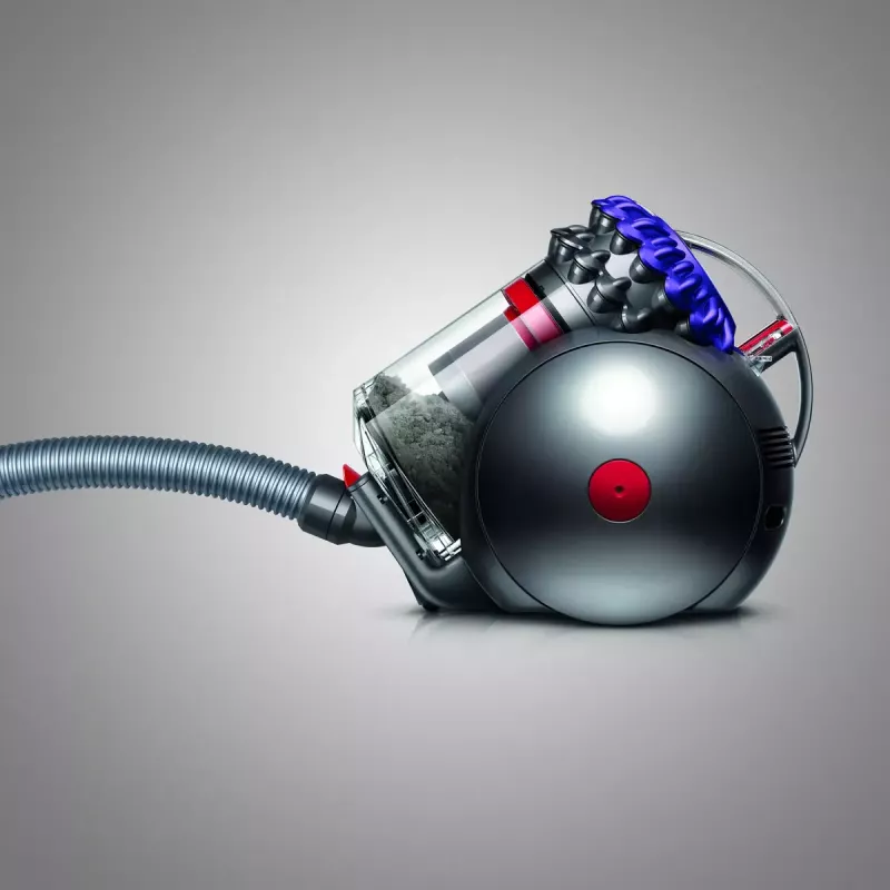 Stofzuiger Dyson Big ball Parquet 2
