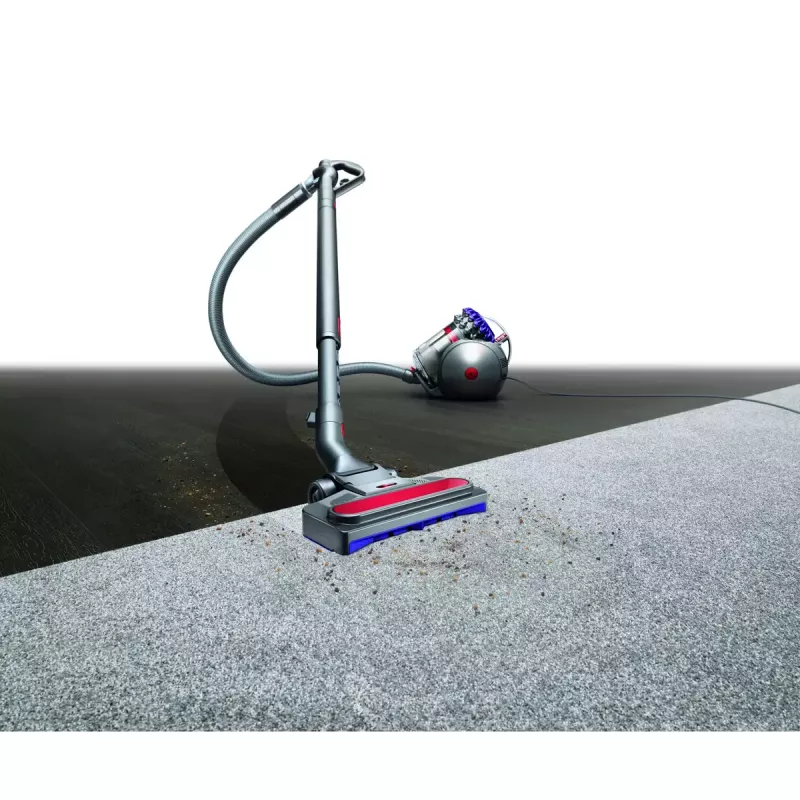 Stofzuiger Dyson Big ball Parquet 2