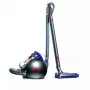Stofzuiger Dyson Big ball Parquet 2