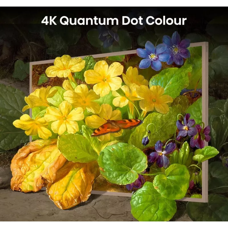 Hisense 55 inch S7NQTUK Canvas TV met Freely & ArtMode