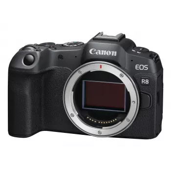 Canon EOS R8, 24,2 MP, 6000 x 4000 pixel, CMOS, 4K Ultra HD, touchscreen, zwart