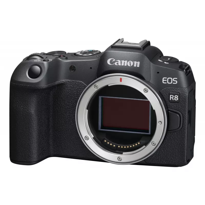 Canon EOS R8, 24,2 MP, 6000 x 4000 pixel, CMOS, 4K Ultra HD, touchscreen, zwart