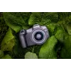 Canon EOS R8, 24,2 MP, 6000 x 4000 pixel, CMOS, 4K Ultra HD, touchscreen, zwart