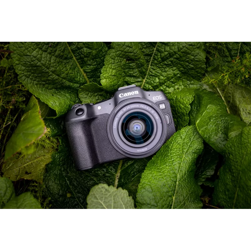 Canon EOS R8, 24,2 MP, 6000 x 4000 pixel, CMOS, 4K Ultra HD, touchscreen, zwart