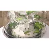 Tafelblender Philips 5000 Serie Eco Conscious Edition HR2500/00