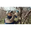 Bosch Pro Pruner Professional draadloze grasschaar 2,5 cm 12 V lithium-ion (Li-Ion) blauw