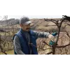 Bosch Pro Pruner Professional draadloze grasschaar 2,5 cm 12 V lithium-ion (Li-Ion) blauw