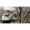 Bosch Pro Pruner Professional draadloze grasschaar 2,5 cm 12 V lithium-ion (Li-Ion) blauw