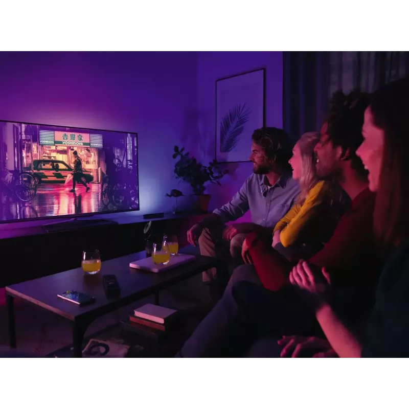 Philips Hue White and Colour Ambience Play Light Bar dubbelpack