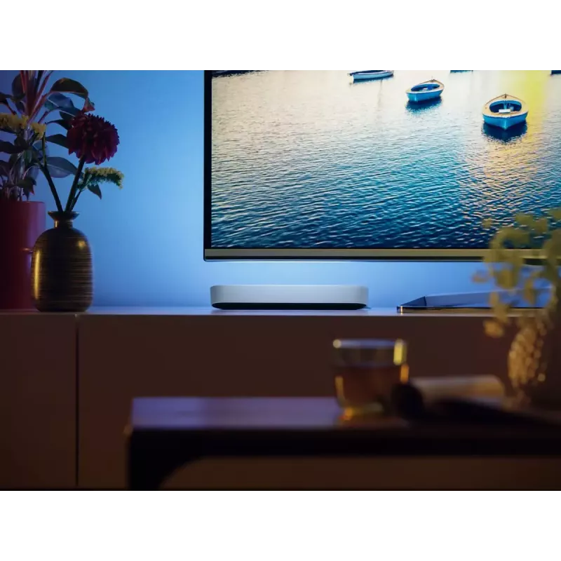 Philips Hue White and Colour Ambience Play Light Bar dubbelpack