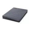 WESTERN DIGITAL draagbare harde schijf - My Passport - 2 TB - USB-C/A 3.2 Gen 1 - grijs