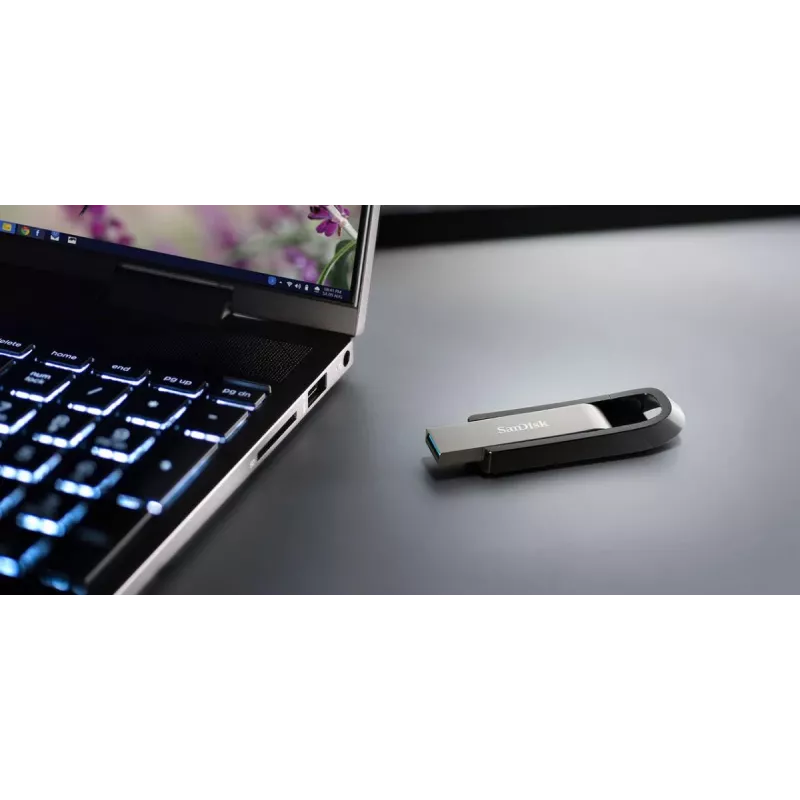 WESTERN DIGITAL SanDisk Ultra Extreme GO - 256GB USB-stick - USB 3.2