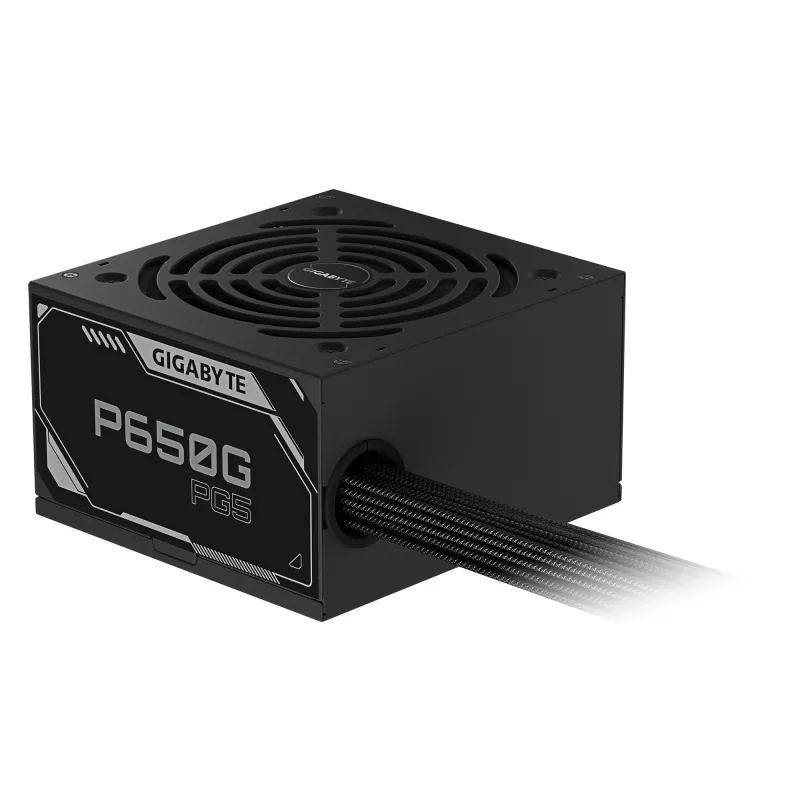GIGABYTE P650G PCIE 5.1 voeding – PCIe 5.1, 80 PLUS Silver, 120mm ventilator, ATX 3.1 compatibel, EU-stekker